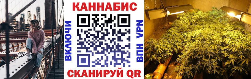 Виды наркотиков купить Камышлов A-PVP  Кокаин  АМФ  Каннабис  Лсд 25  МЕФ 