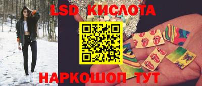 шишки Лесосибирск