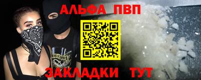 шишки Лесосибирск