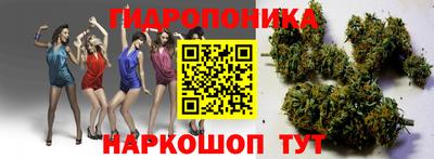 шишки Лесосибирск