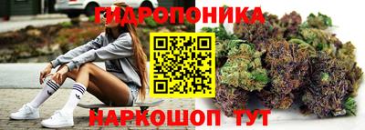 шишки Лесосибирск