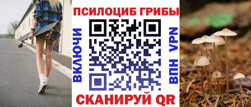 OMG ссылка  купить наркотик  Камышлов  Псилоцибиновые грибы мухоморы 