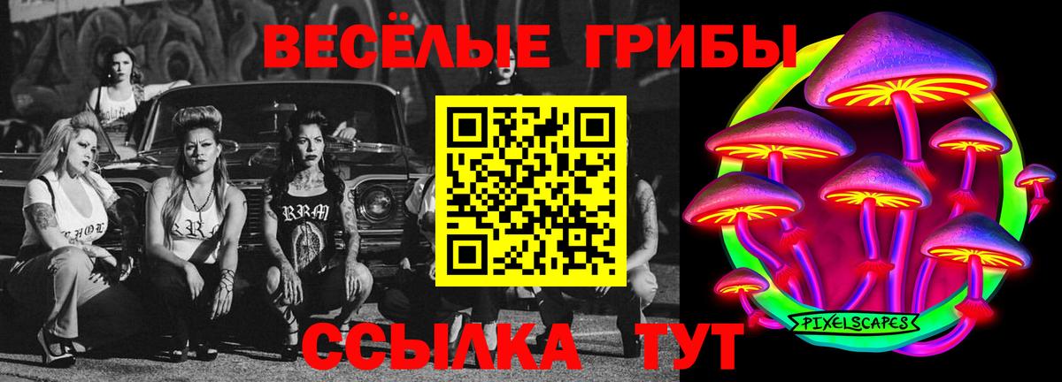 Псилоцибиновые грибы мицелий  Вход с VPN  Камышлов 