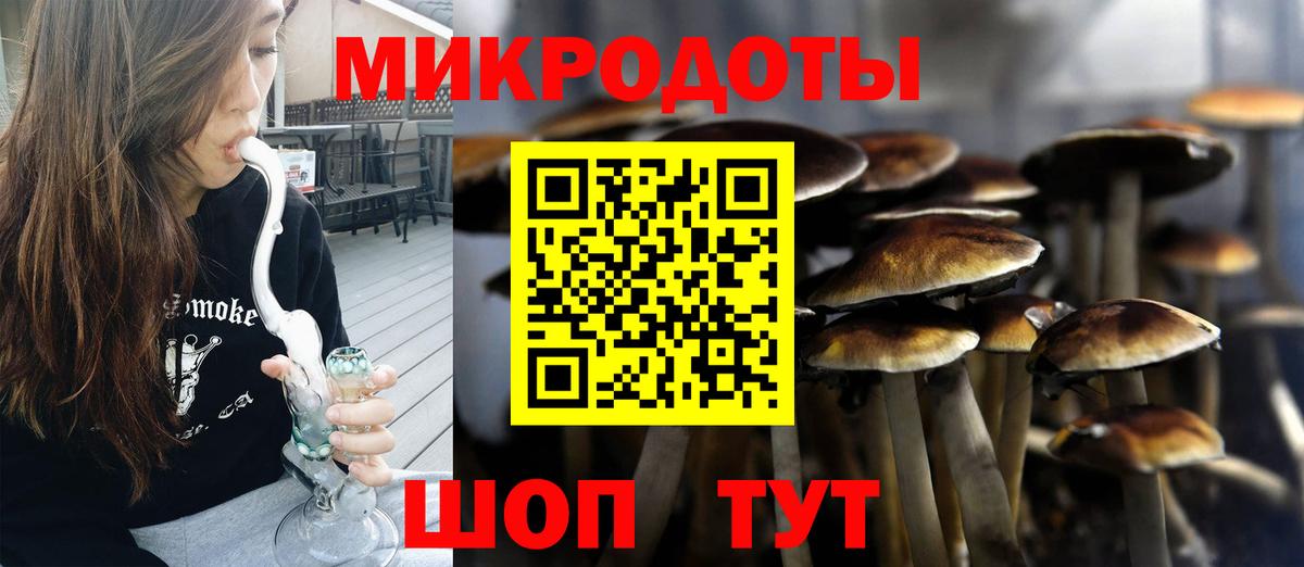 Псилоцибиновые грибы мицелий Камышлов