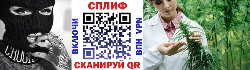 Канабис планчик  где можно купить наркотик  Камышлов 